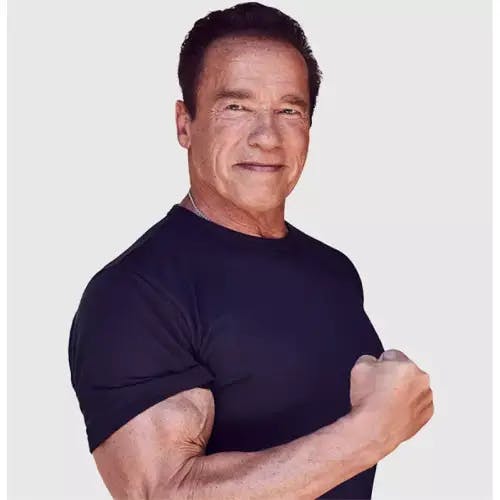 Arnold Schwarzenegger AI Voice
